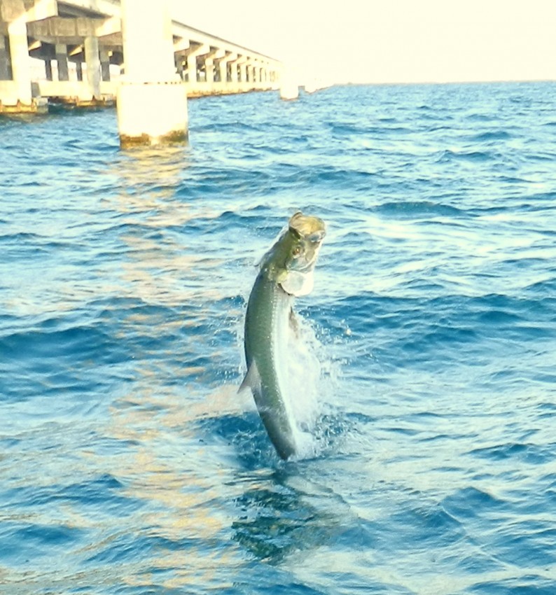 DSCN3651